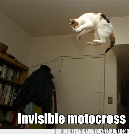 invisible,moto,motocross