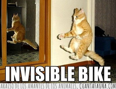 bike,bici,invisible