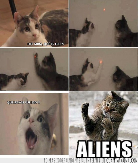 puntero,gato,aliens,laser