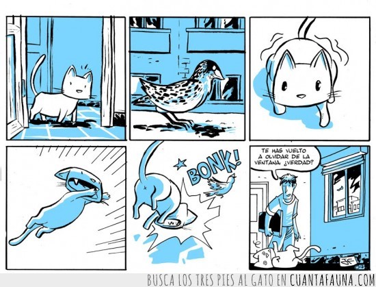comic,gato,ventana,pajaro