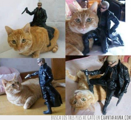 1406 - El compañero de Wesker
