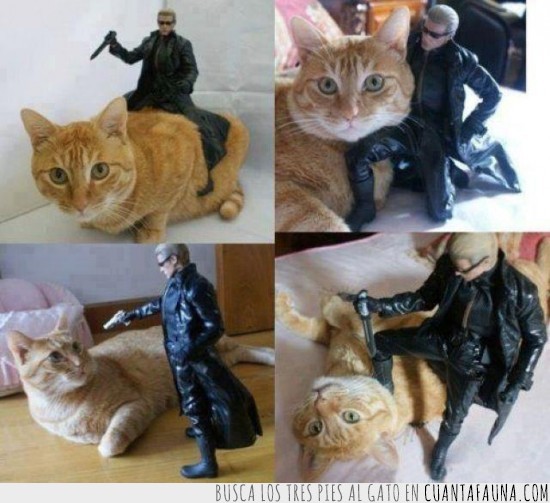 wesker,resident evil,gato gracioso,matame!