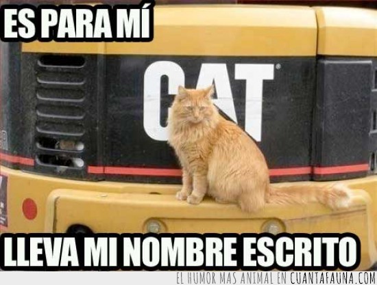 nombre,cat,bulldozer