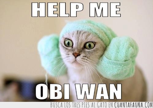 leia,star wars,obi wan