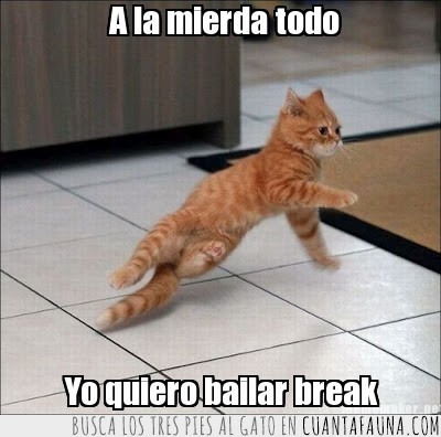 Breakdance,Gato,bailar,pose