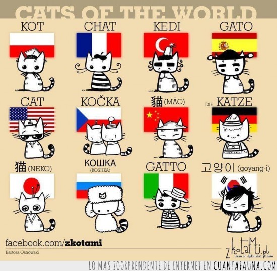 idiomas,palabra,world,mundo,banderas,gatos