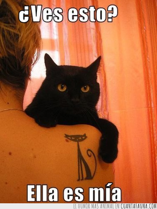 mia,propiedad,negro,chat noir,gato,tatuaje