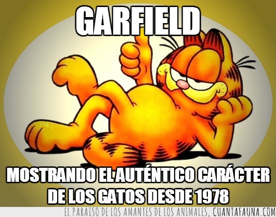 1978,Garfield,mola,carácter,gato