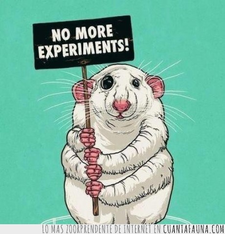rata,expresión,experimentos,animales,brazo,laboratorio
