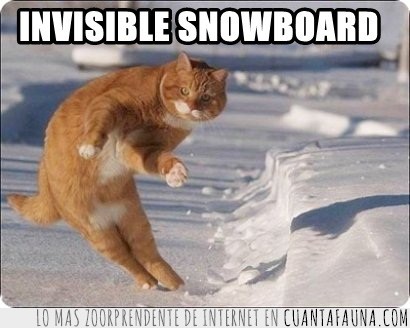 invisible,snow,pose,nieve,snowboard,gato