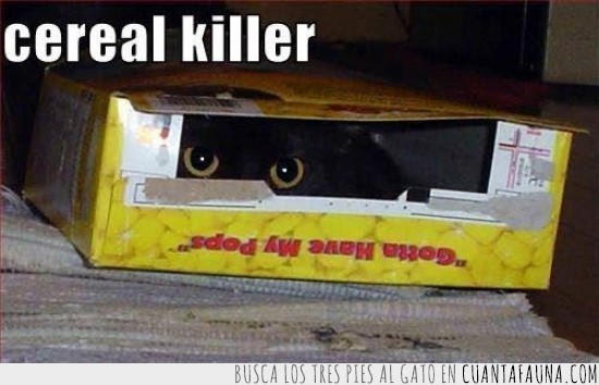 gato,cereales,matar,asesino,serial,en serie