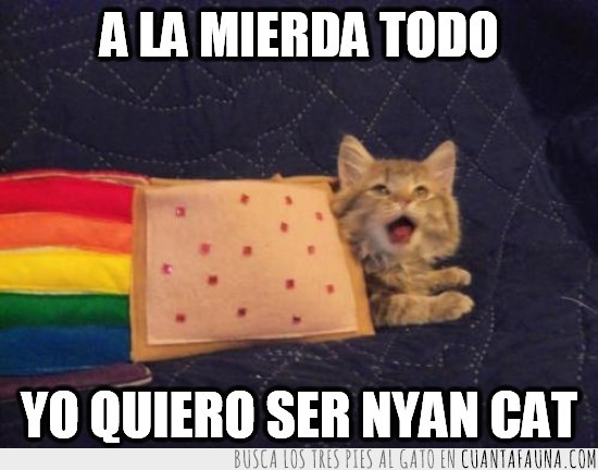 tostada,gato,arcoiris,Nyan cat