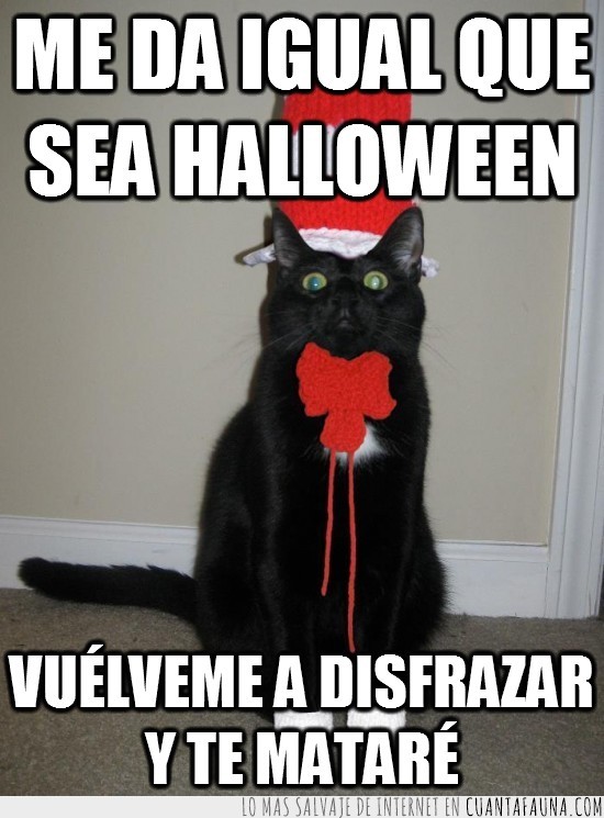 halloween,gato,disfraz,ridiculo,matar