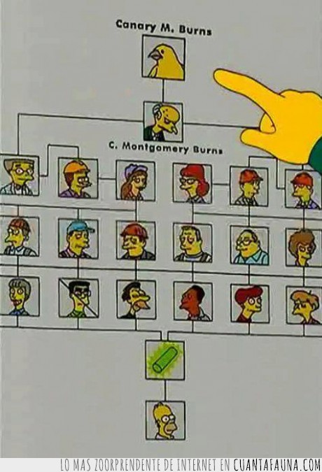 Canario,Homer,Los simpson,Burns,barra,organigrama