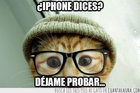 gato,hipster,gafas,gorro,gorrito,lana,iphone