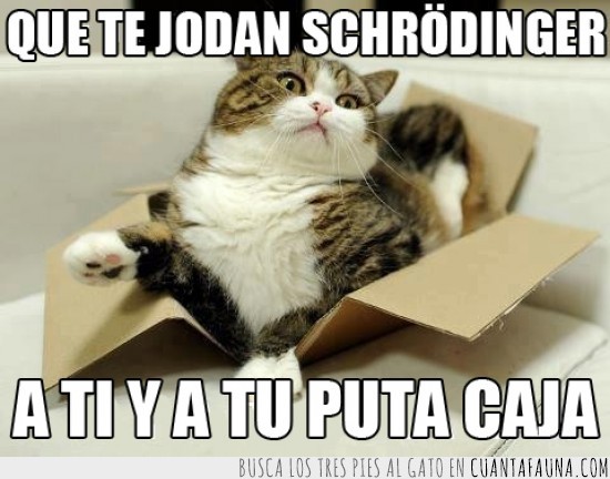 Schrödinger,gato,mecánica cuantica,ecuación,caja