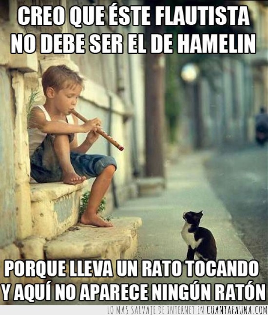 esperando,flautista,hamelin,ratones,encantado,musica,niño,flauta,gato