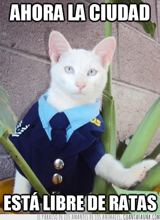 agente,uniforme,planta,disfraz,gato,policia,adios ratones