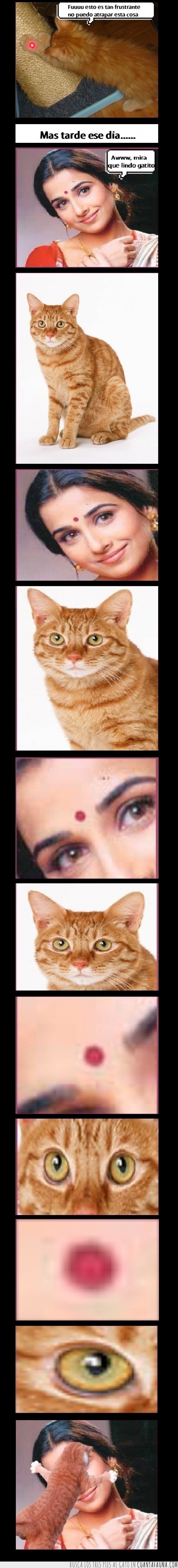 india,frente,punto rojo,hindu,hinduismo,atrapar,laser,gato,por fin,comic