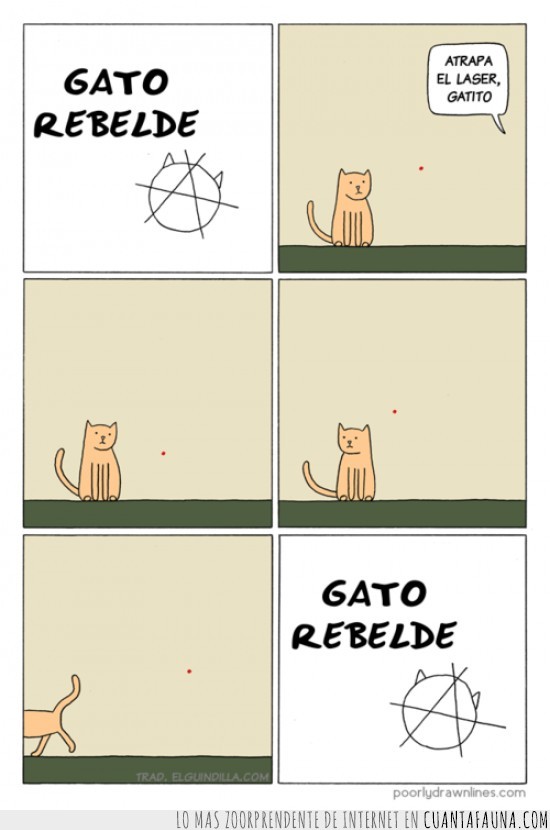 2337 - El gato rebelde