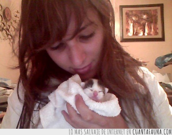 amor,bebe,gatito,toalla,madre,cachorrito,recien nacido