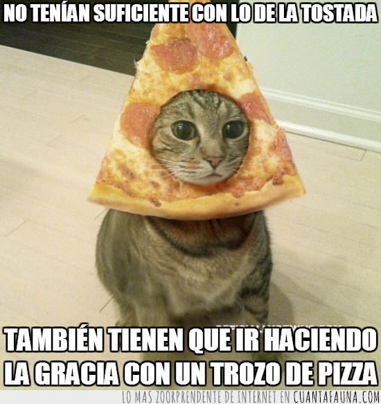 gato,pizza,trozo,triangulo,cara,cabeza,hueco,agujero