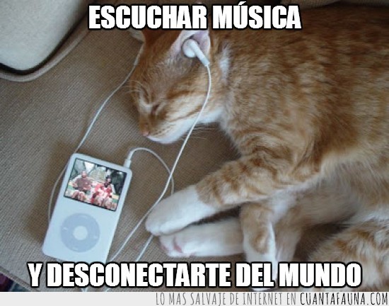escuchar,musica,ipod,gato,mp3,auriculares,cascos