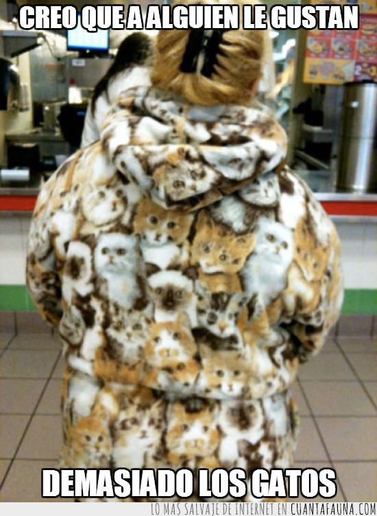 abrigo,gatos,loca de los gatos,chaqueta,estampado