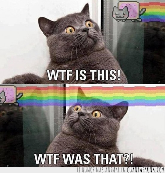 arcoiris,sorprendido,nyan cat,wtf