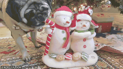 muñeco de nieve,perro,bastón,morder,carlino,navidad