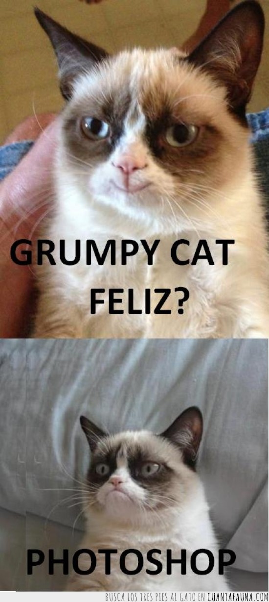 Grumpy Cat,Photoshop,Feliz,Sonrisa,Gato Gruñon