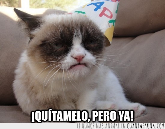 grumpy cat,sombrero,cumpleaños,venganza,gracioso,gorrito