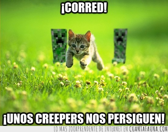 gato,creepers,minecraft,corre,forest