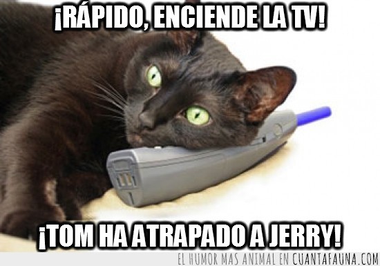 gato,telefono,Tom y Jerry,llamar