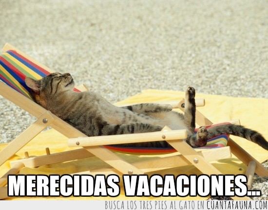 playa,al sol,gato,vacaciones,verano,tumbona