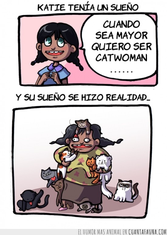 loca de los gatos,mujer,comic,grande,chica,gatos,catwoman,realidad