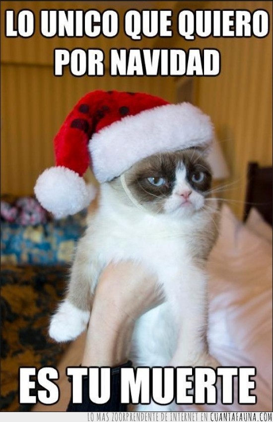 gato gruñon,navidad,mi deseo,tu muerte,grumpy cat