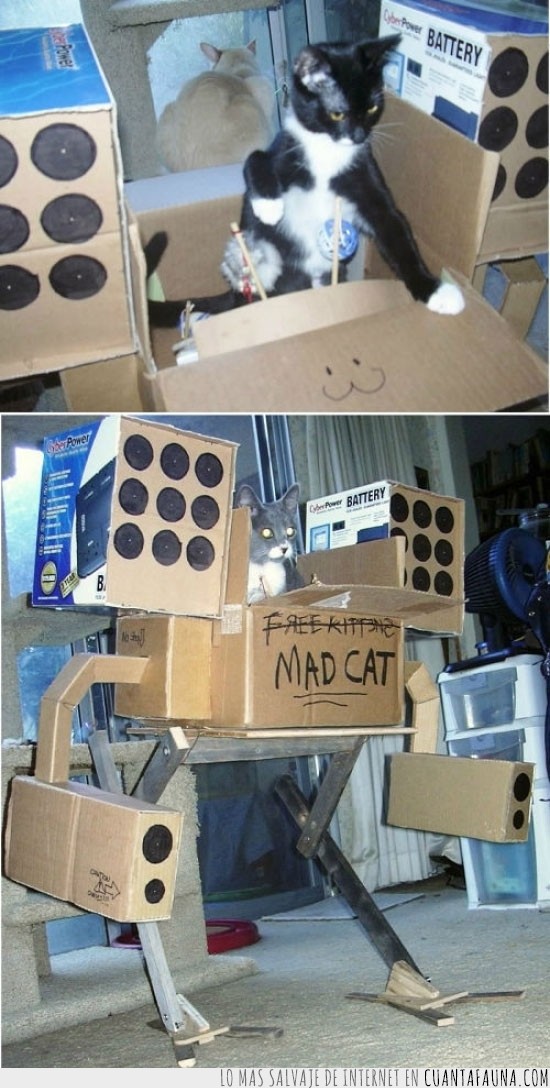 mad cat,gato,robot,cajas de carton,cientifico loco