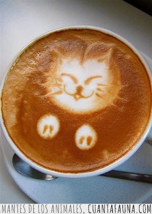 cafe con leche,crema,dibujar,arte,Cafe,gatito,dibujo