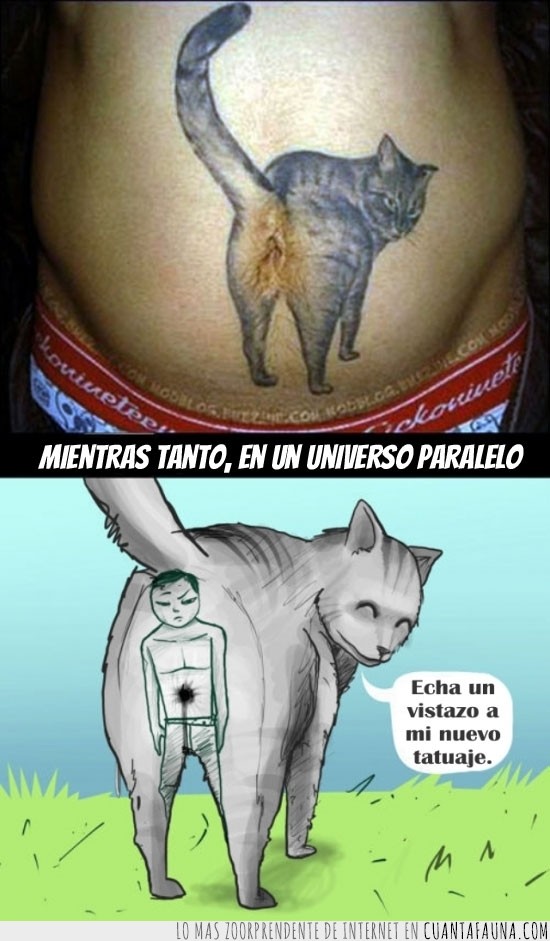 Tatuaje,Panza,Hombre,Mundo paralelo,Gato