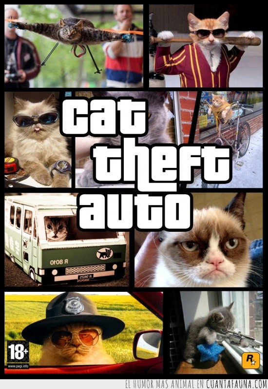 gatos,vicio,cat theft auto,videojuego,mafiosos,gta,grand theft auto