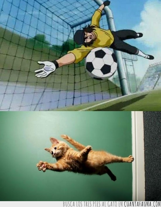 futbol,captain tsubasa,super campeones,ed warner,volar,gato,apoyado en el palo