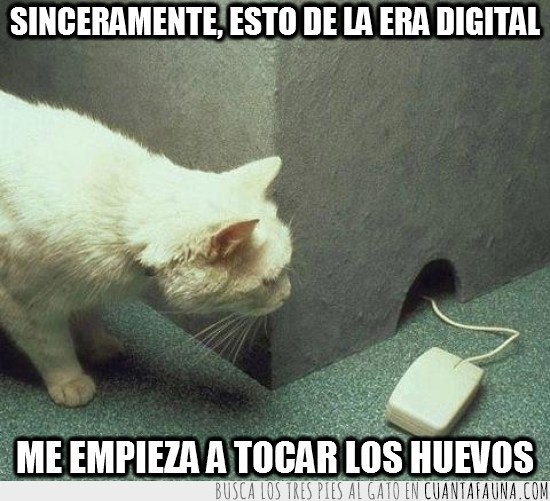 mouse,gato,tecnologia,raton,ratonera,era digital