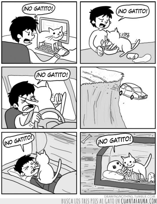 comic,ataud,no gatito,molestar,Gato,muerto,distraer,coche