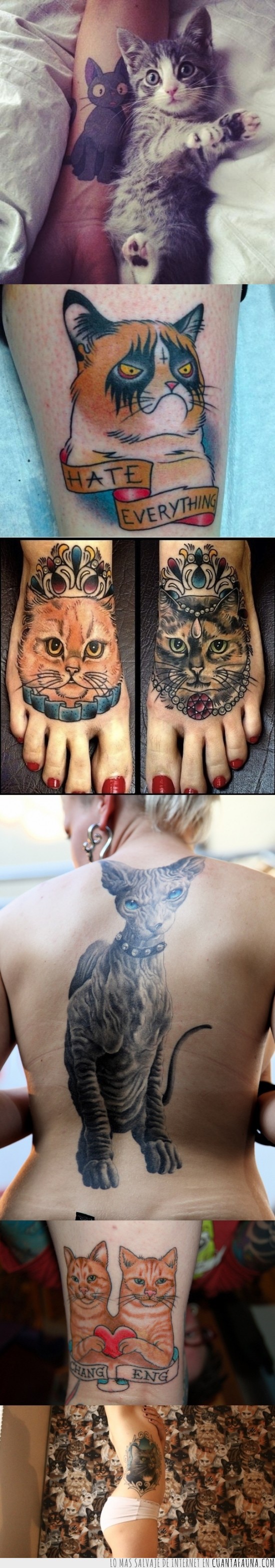 tatuajes,gatos,cuerpo,tattoos,obsesion