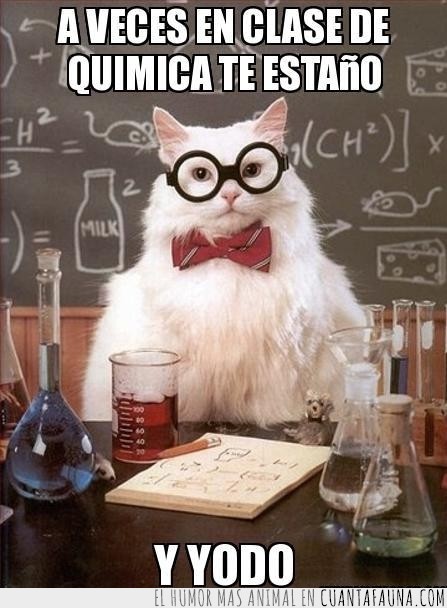 gato quimico,estaño,yodo,clase de quimica