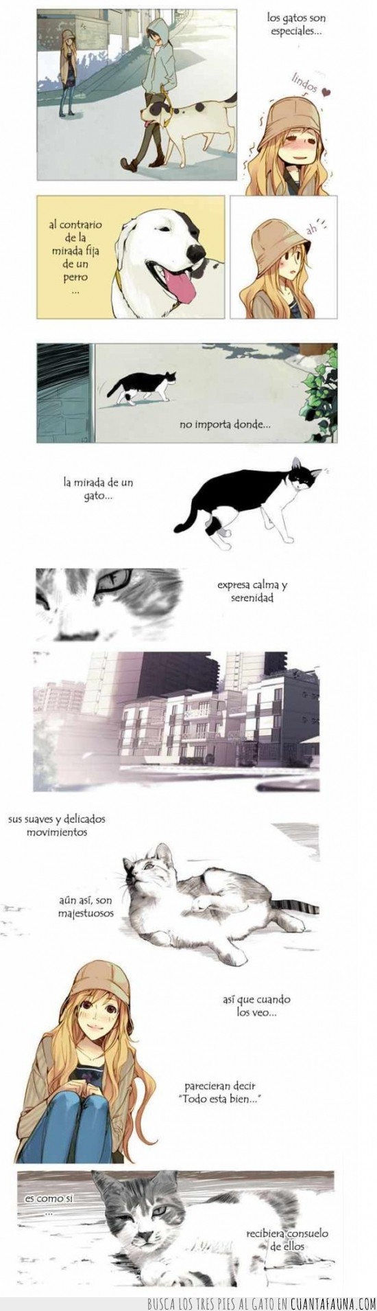 3775 - La verdadera razón de porque nos gustan tanto los gatos