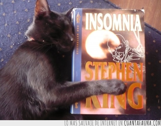 dormir,insomnia,stephen king,gato negro