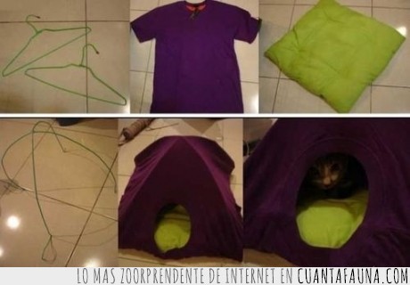 cojin,camiseta,practico,reciclable,cama,gato