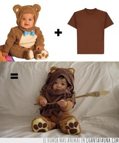 bebe,camiseta,disfraz,ewok,niño,osito,oso